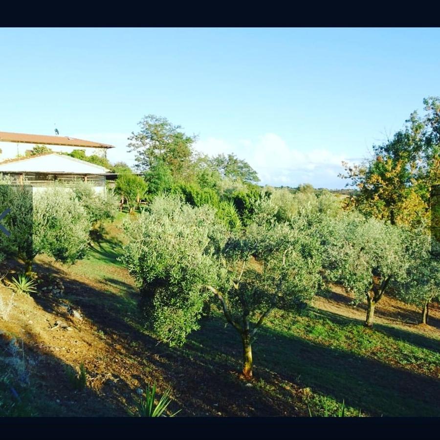 Agriturismo Colleverde Capalbio Kültér fotó