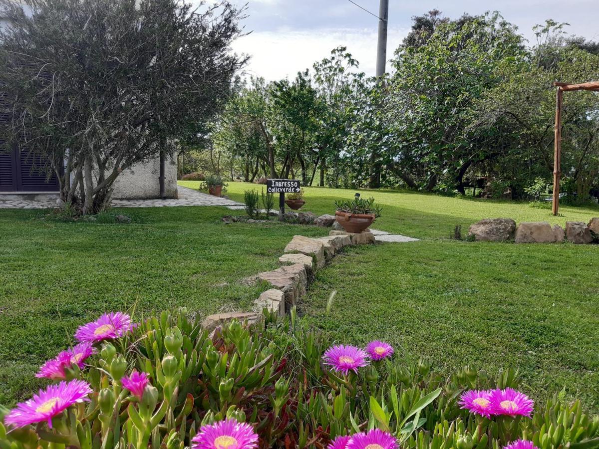Agriturismo Colleverde Capalbio Kültér fotó