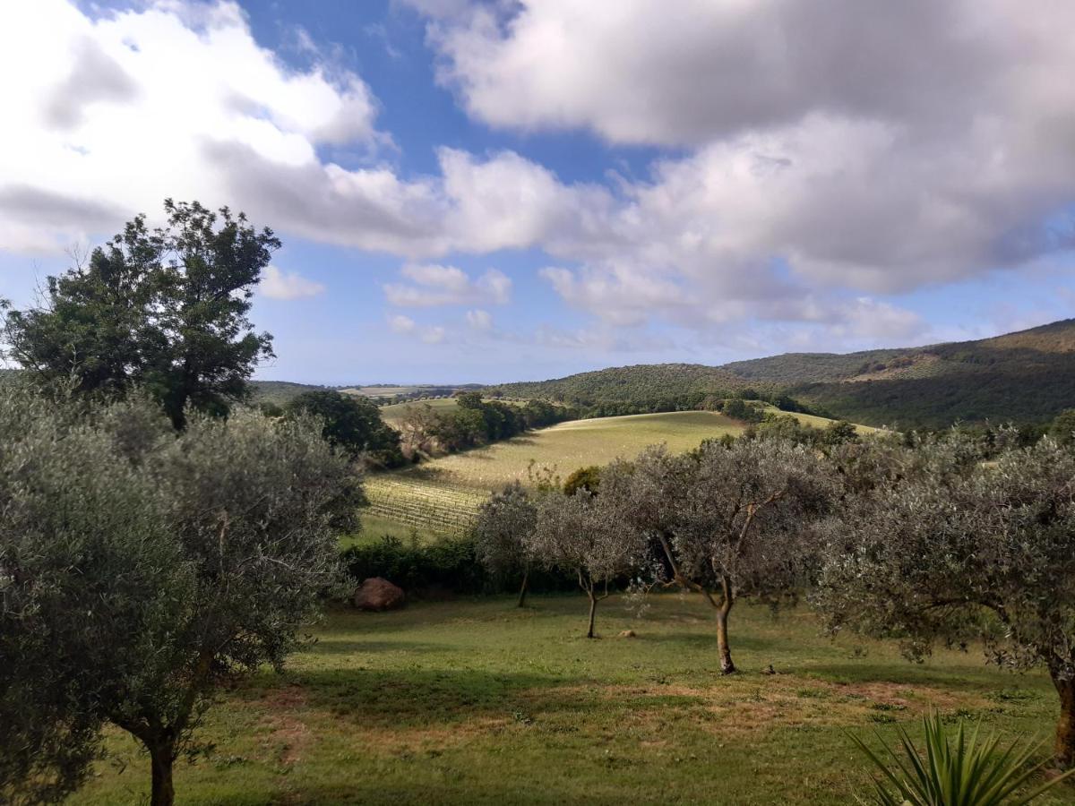 Agriturismo Colleverde Capalbio Kültér fotó