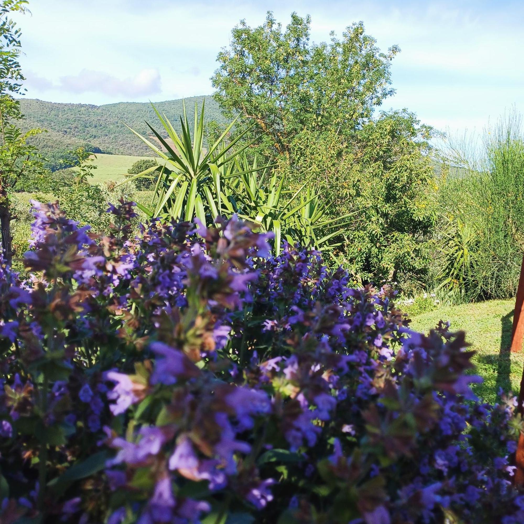 Agriturismo Colleverde Capalbio Kültér fotó