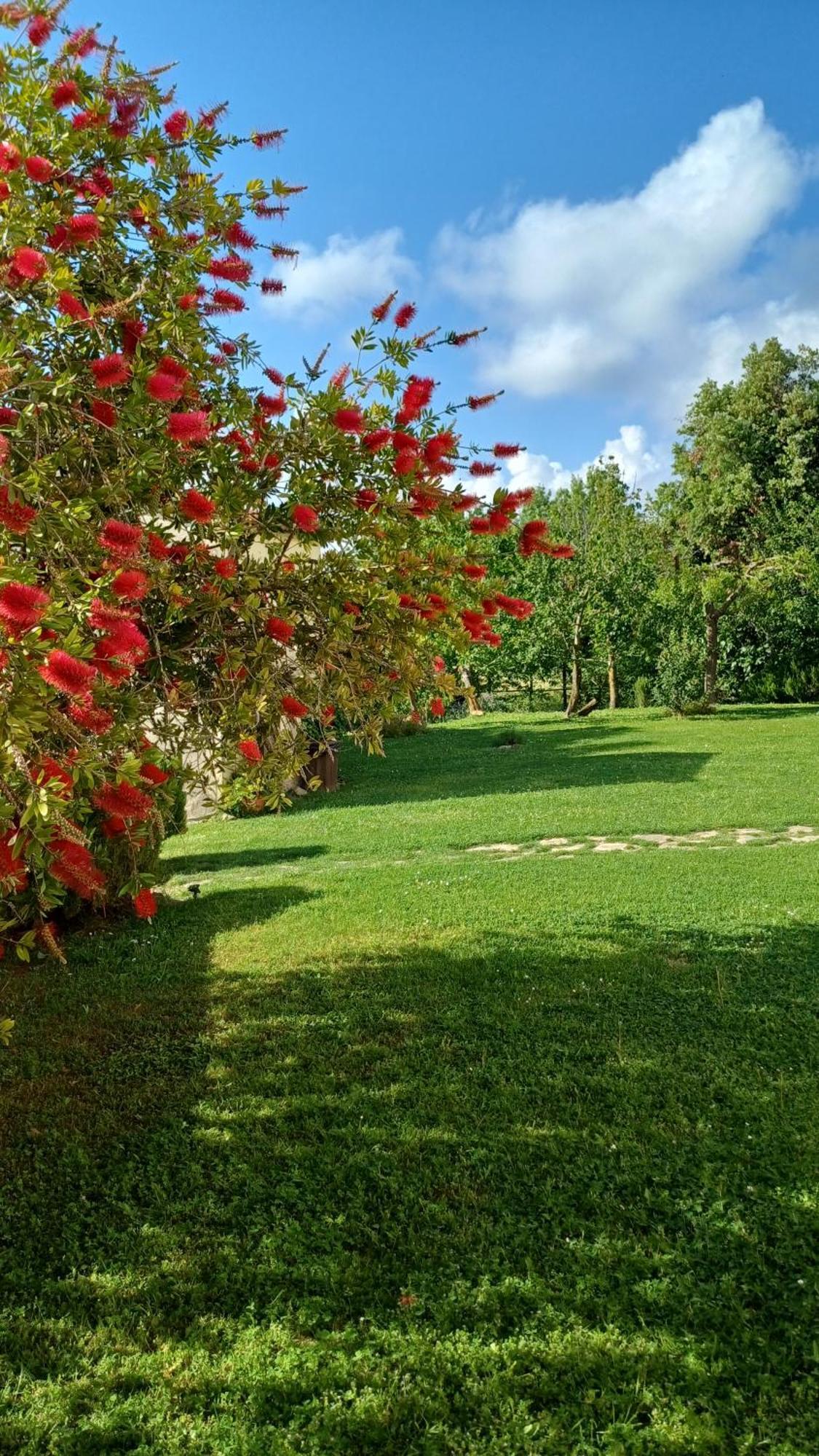 Agriturismo Colleverde Capalbio Kültér fotó